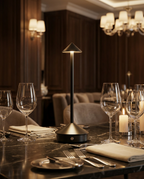 Aurelia™ Premium Cordless Lamp