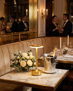 Lumière™ Premium Cordless Lamp